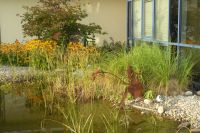 Goldfischteich vor dem Hotel