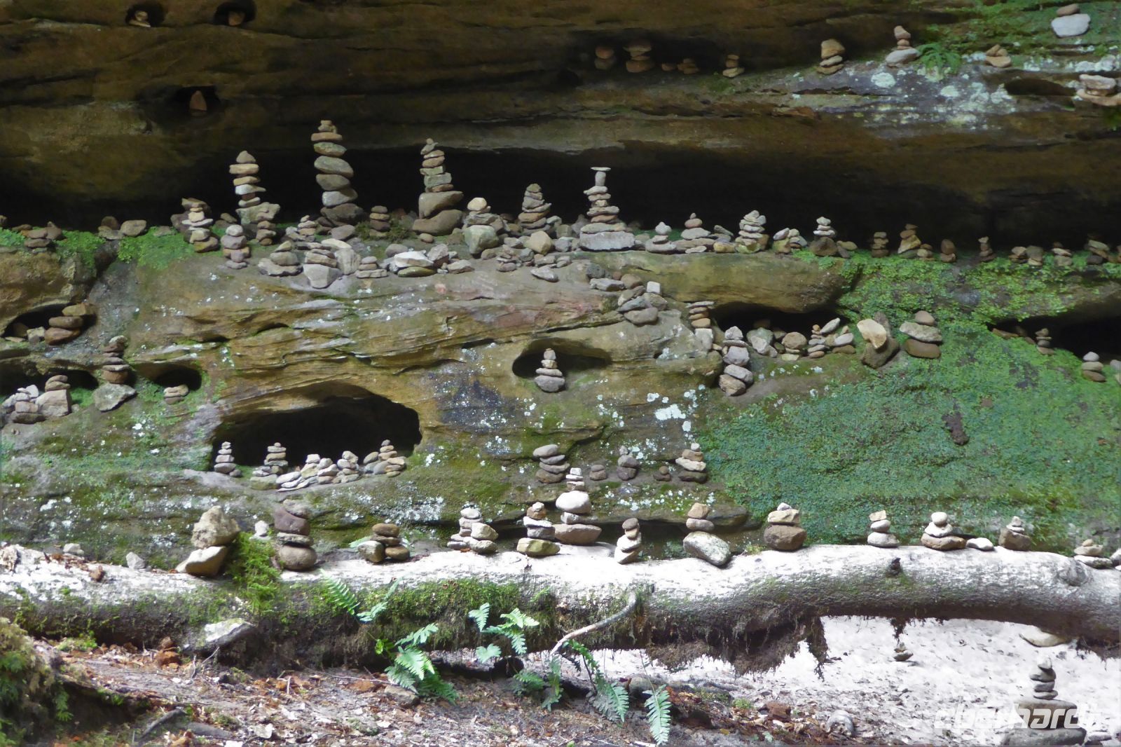 Tag 2 Wanderung im Müllerthal, Luxemburg