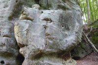 Tag 2 Wanderung im Müllerthal, Luxemburg