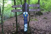 Tag 2 Wanderung im Müllerthal, Luxemburg