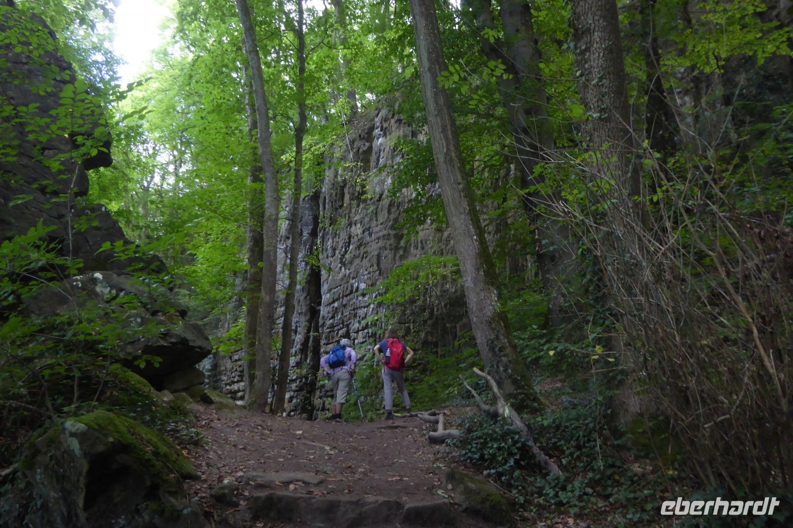 Tag 2 Wanderung im Müllerthal, Luxemburg