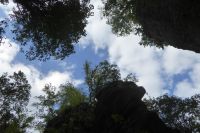 Tag 2 Wanderung im Müllerthal, Luxemburg