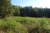 Tag 3 Wanderung zum Litermont 