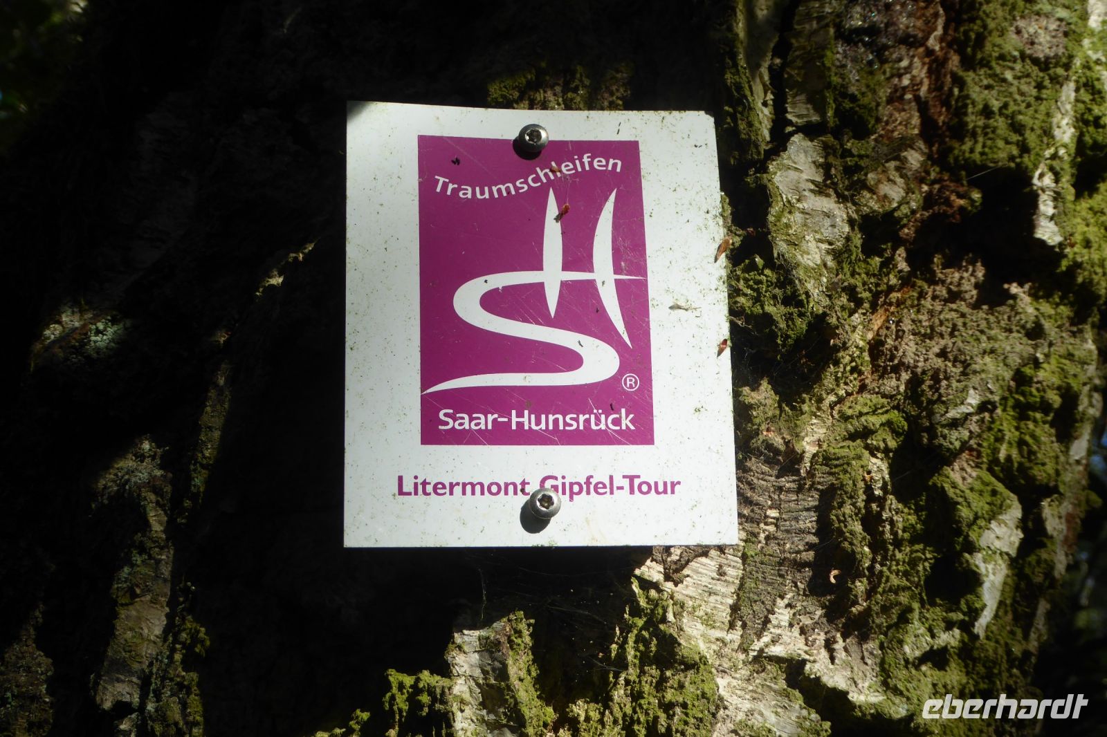 Tag 3 Wanderung zum Litermont 