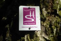 Tag 3 Wanderung zum Litermont 