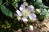 Tag 3 Wanderung zum Litermont 