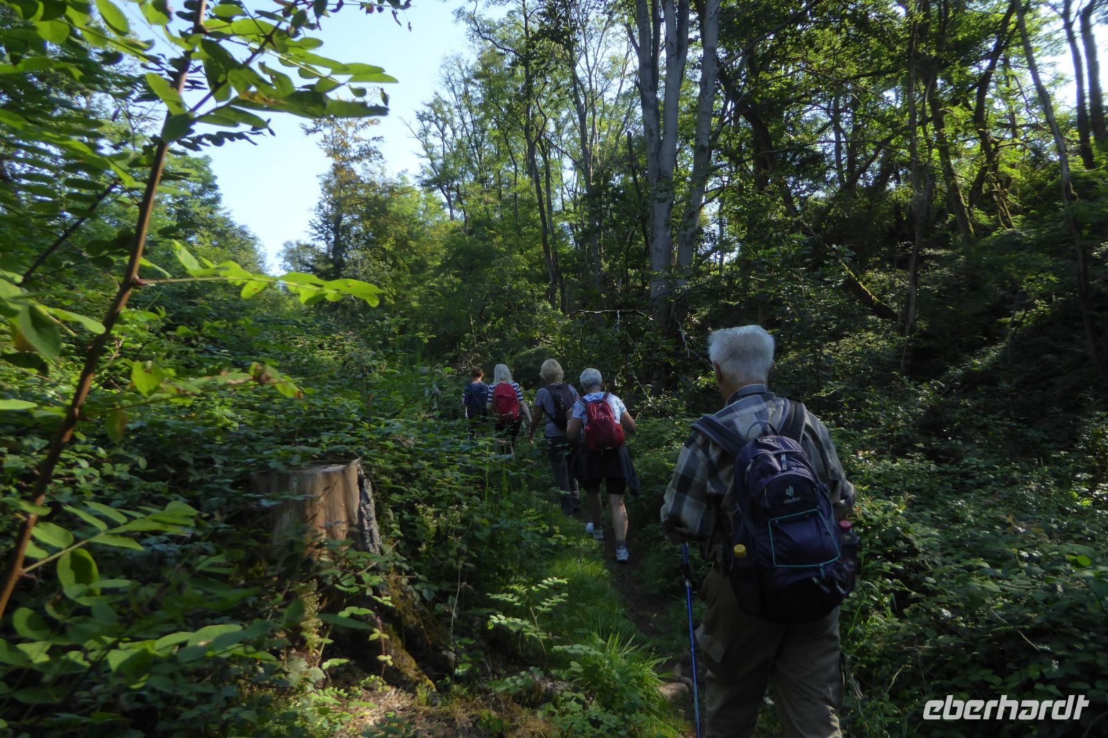 Tag 3 Wanderung zum Litermont 