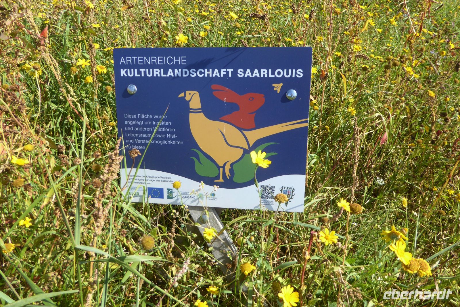 Tag 3 Wanderung zum Litermont 