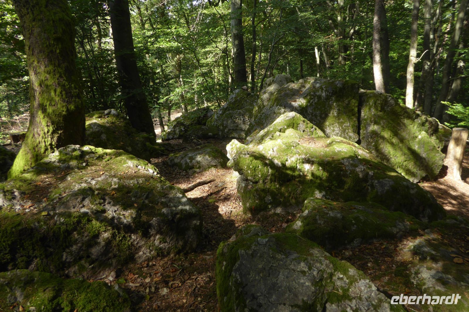 Tag 3 Wanderung zum Litermont 