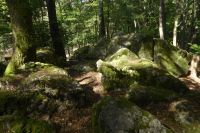 Tag 3 Wanderung zum Litermont 