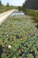 Tag 4 Wassergarten Reden