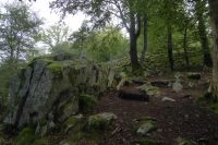 Tag 6 Wanderung am Dollberg 