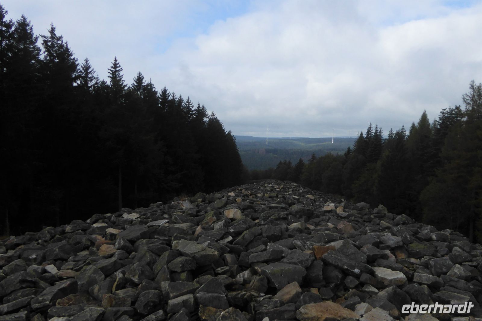 Tag 6 Wanderung am Dollberg, Hunnenring, keltischer Ringwall