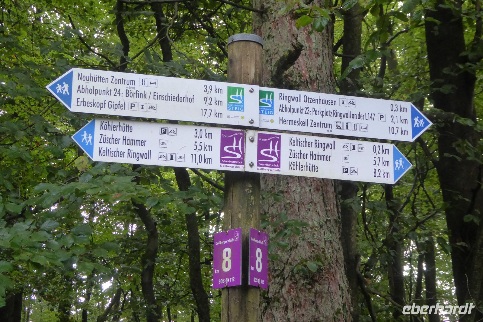 Tag 6 Wanderung am Dollberg 