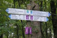 Tag 6 Wanderung am Dollberg 