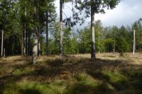 Tag 6 Wanderung am Dollberg 