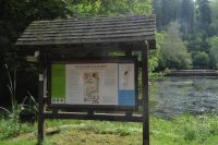 Tag 6 Wanderung am Dollberg