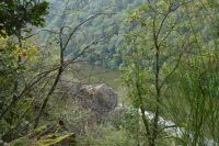 Tag 7 Wanderung zur Saarschleife 