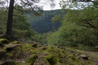 Tag 7 Wanderung zur Saarschleife 