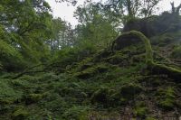 Tag 7 Wanderung zur Saarschleife 