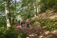 Tag 7 Wanderung zur Saarschleife