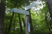 Tag 7 Wanderung zur Saarschleife 