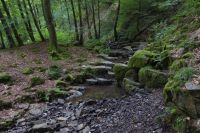 Tag 7 Wanderung zur Saarschleife 