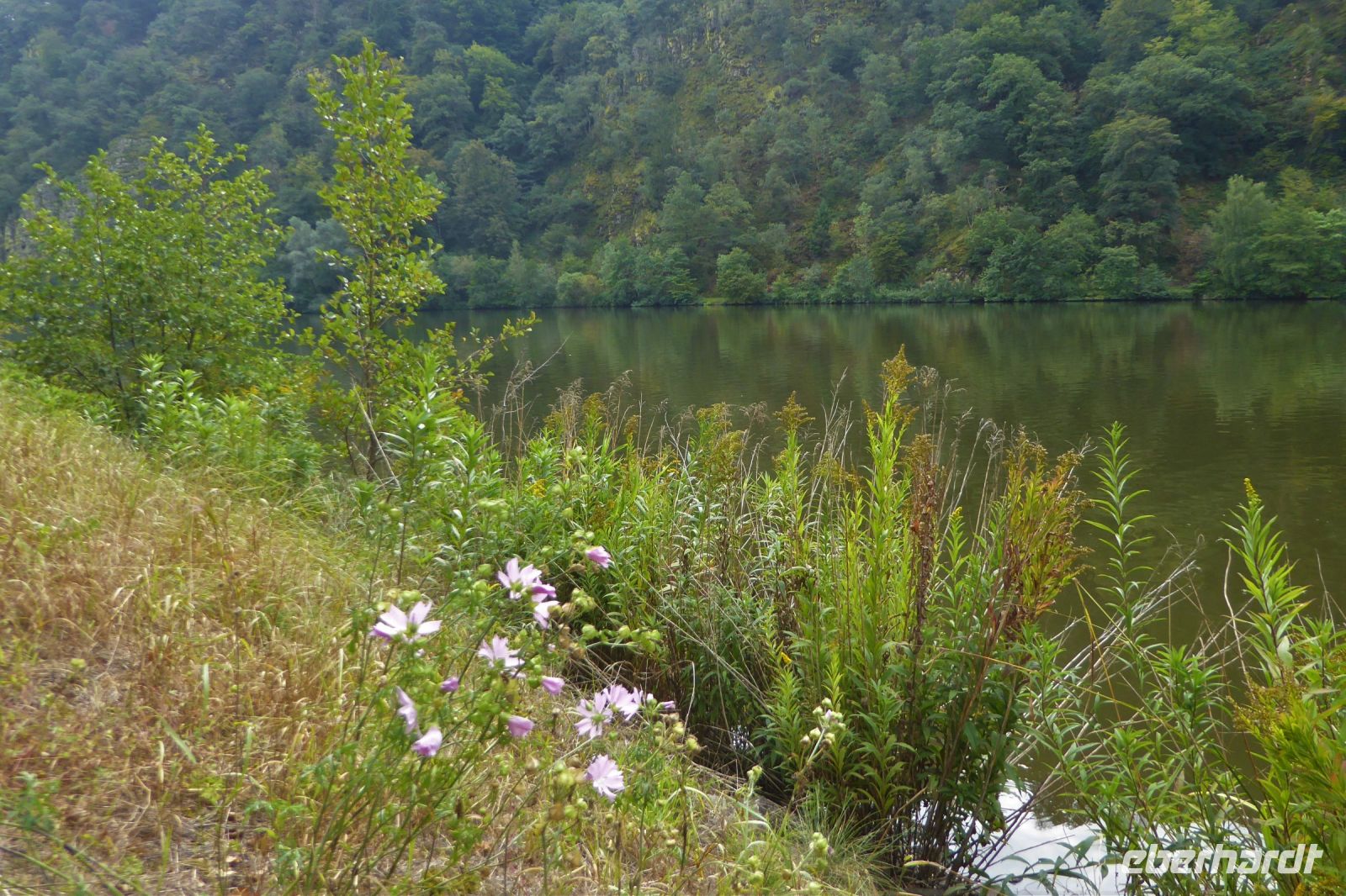 Tag 7 Wanderung zur Saarschleife 
