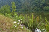 Tag 7 Wanderung zur Saarschleife 