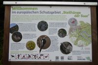 Tag 7 Wanderung zur Saarschleife 