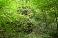 Tag 7 Wanderung zur Saarschleife