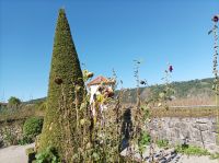 Eichstätt, Willibaldsburg