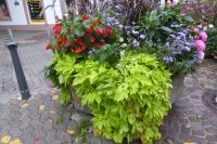 Tag 1 Abendspaziergang in Saarbrücken