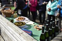 Tag 5 Picknick in luftiger Höhe auf dem Baumwipfelpfad an der Saarschleife 
