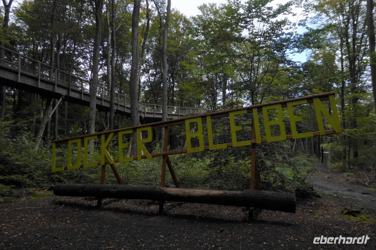 Tag 5 n der Saarschleife 