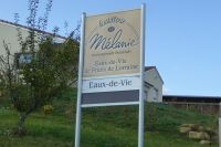 Tag 6 Mirabellen Destillerie