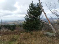 Taunus, Großer Feldberg