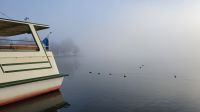 der Chiemsee im Nebel