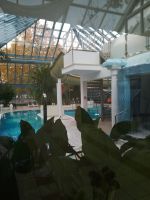 Blick ins Schwimmbad