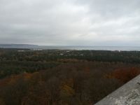 Blick vom Baumwipfelpfad