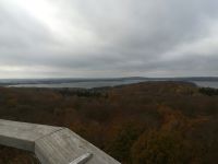 Blick vom Baumwipfelpfad