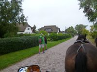 Kutschfahrt auf Hiddensee