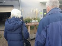 Weinverkostung in der Pfalz