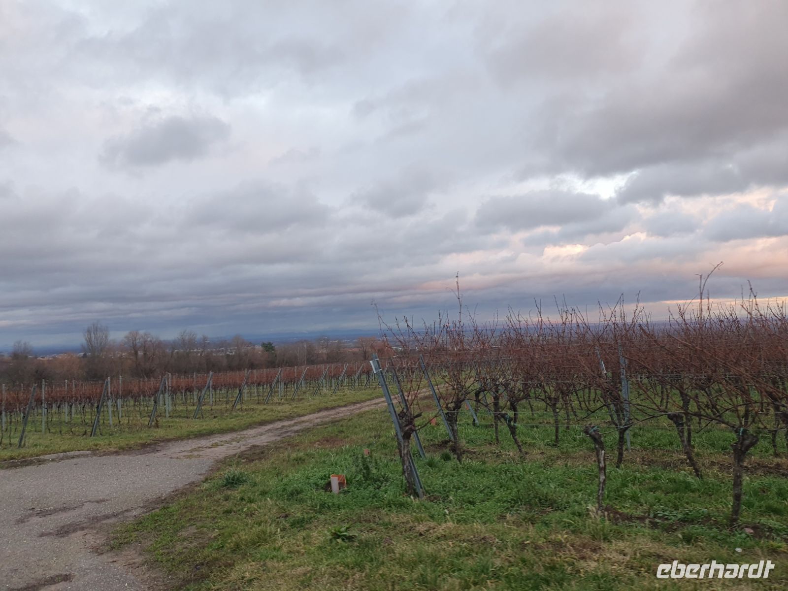 Planwagenfahrt in der Pfalz