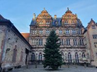 Schloss Heidelberg Innenhof