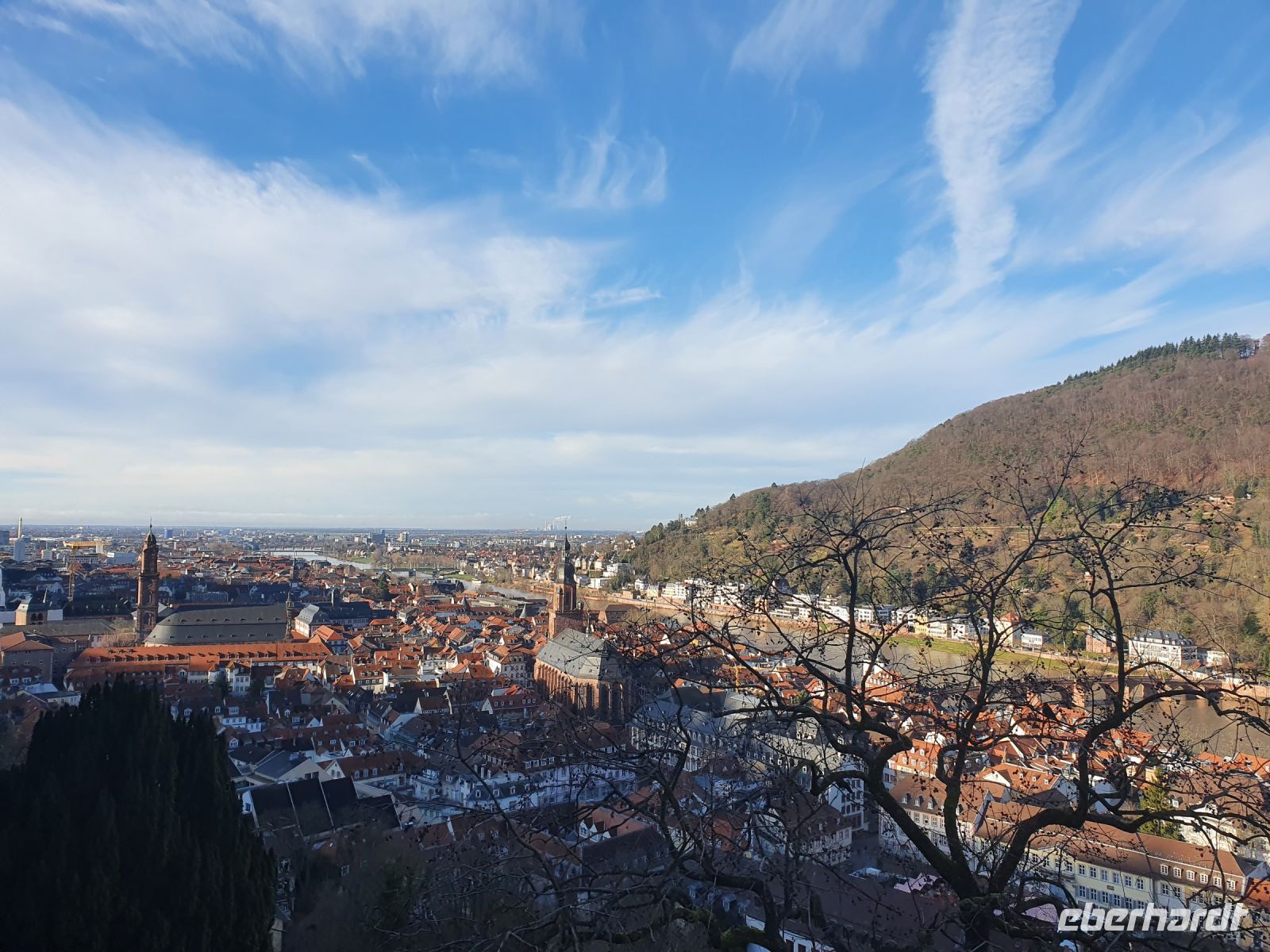 Blick auf Heidelberg