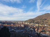 Blick auf Heidelberg