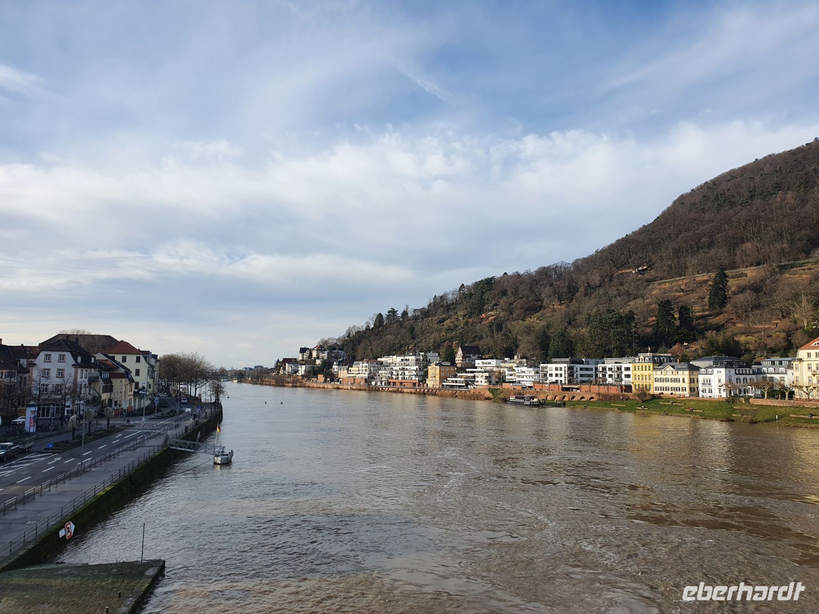 Neckar in Heidelberg