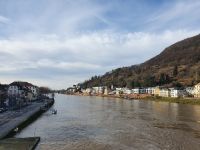 Neckar in Heidelberg