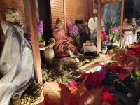 Kloster Stift Neuburg in Heidelberg